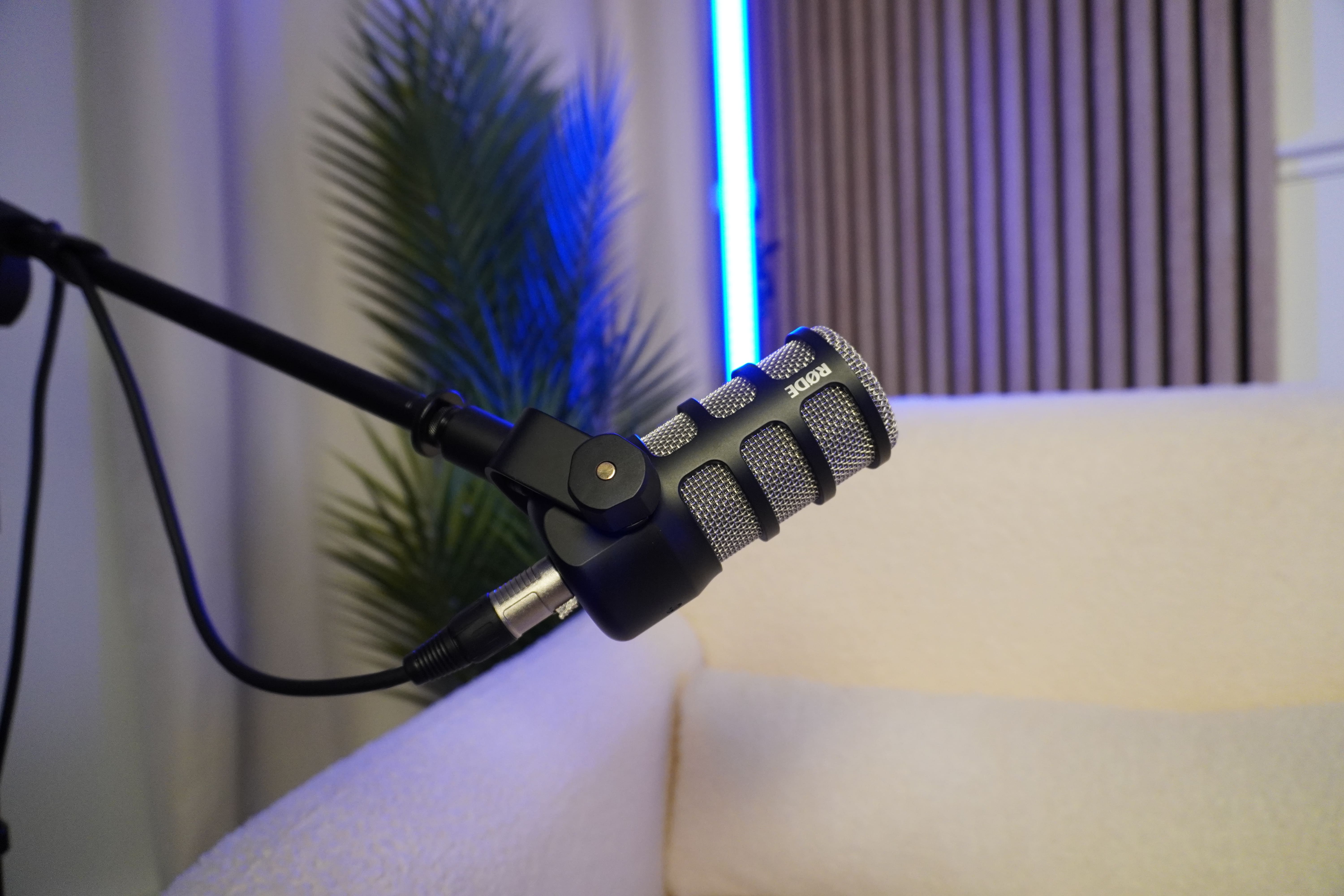 L'intemporel - Image 10